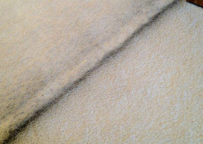 Carpet Color Repair Specialists Vancouver WA