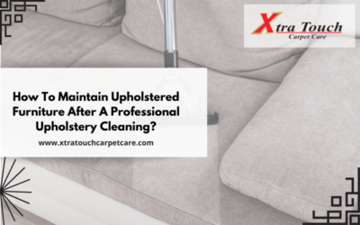 How To Maintain Upholstered Furniture After A Professional Upholstery Cleaning?