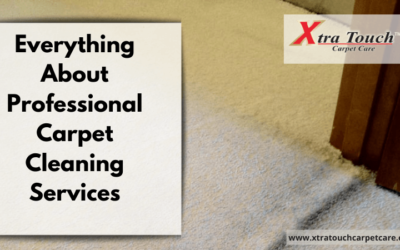 Everything About Professional Carpet Cleaning Services