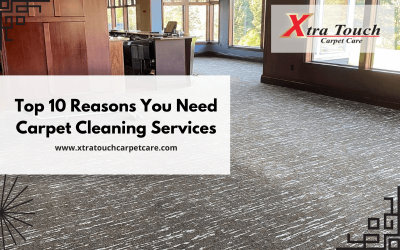 Top 10 Reasons You Need Carpet Cleaning Services