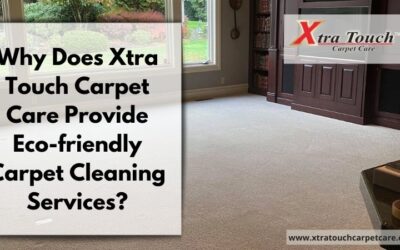 Why Does Xtra Touch Carpet Care Provide Eco-friendly Carpet Cleaning Services?