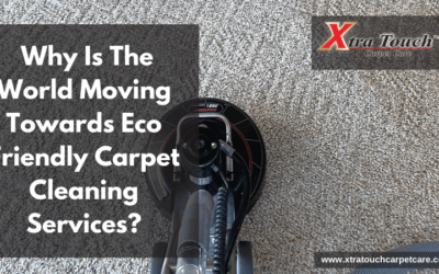Why Is The World Moving Towards Eco Friendly Carpet Cleaning Services?