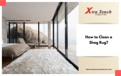 How to Clean a Shag Rug?