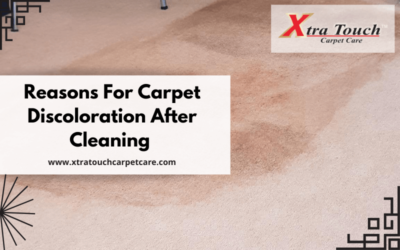 Reasons For Carpet Discoloration After Cleaning With Infographic