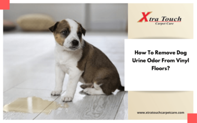 How To Remove Dog Urine Odor From Vinyl Floors?