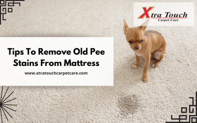 Tips To Remove Old Pee Stains From Mattress
