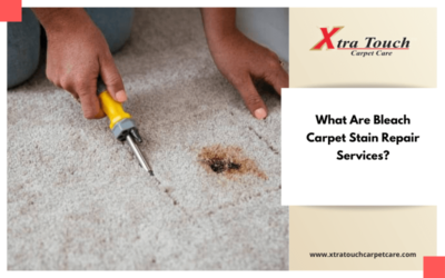 What Are Bleach Carpet Stain Repair Services?