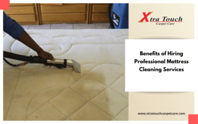 Benefits of Hiring Professional Mattress Cleaning Services
