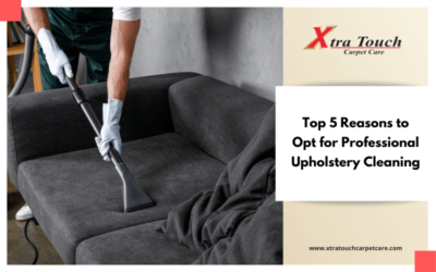 Top 5 Reasons to Opt for Professional Upholstery Cleaning