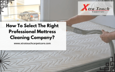 How To Select The Right Professional Mattress Cleaning Company?