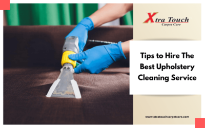 Tips to Hire The Best Upholstery Cleaning Service