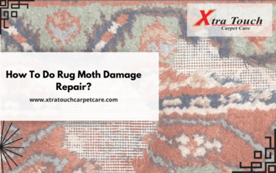 How To Do Rug Moth Damage Repair?