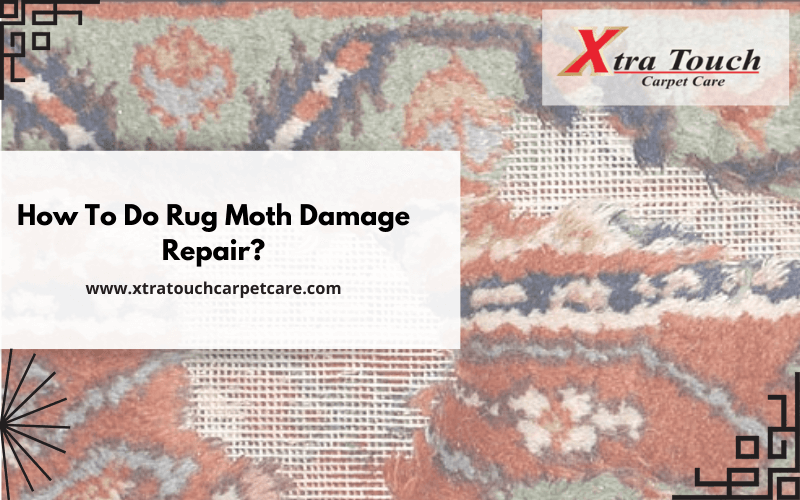 How To Do Rug Moth Damage Repair_