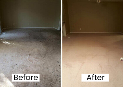 Before & After Carpet Cleaning in Vancouver
