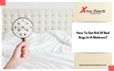 How To Get Rid Of Bed Bugs In A Mattress?