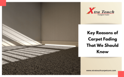 Key Reasons of Carpet Fading That We Should Know