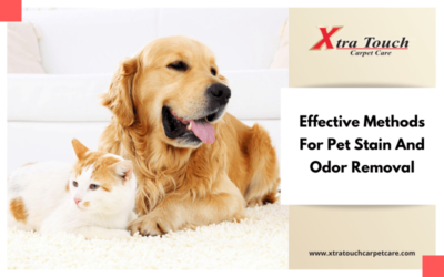 Effective Methods For Pet Stain And Odor Removal