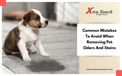 Common Mistakes To Avoid When Removing Pet Odors And Stains