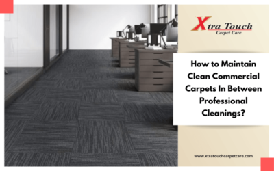 How to Maintain Clean Commercial Carpets In Between Professional Cleanings?