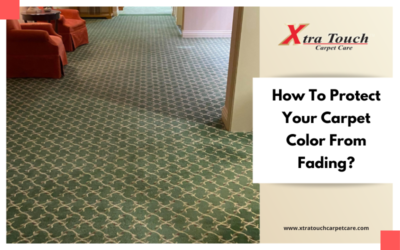 How To Protect Your Carpet Color From Fading?
