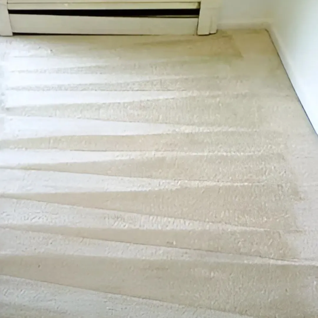 Carpet Cleaning After (1) Carpet Cleaning After (1)