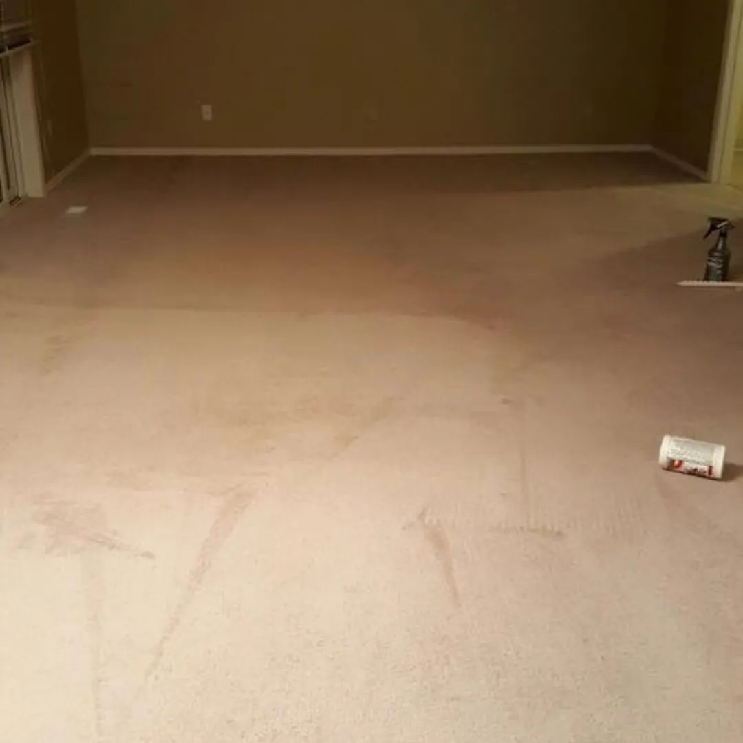 Carpet Cleaning After (2) Carpet Cleaning After (2)