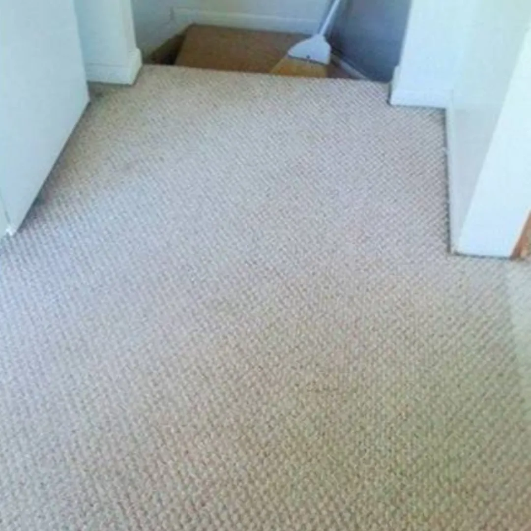 Carpet Cleaning After (3) Carpet Cleaning After (3)