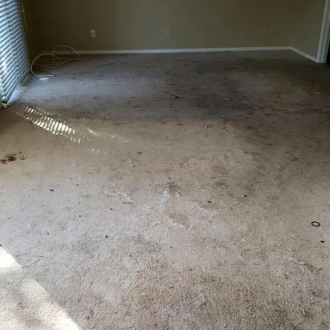 Carpet Cleaning Before (2) Carpet Cleaning Before (2)
