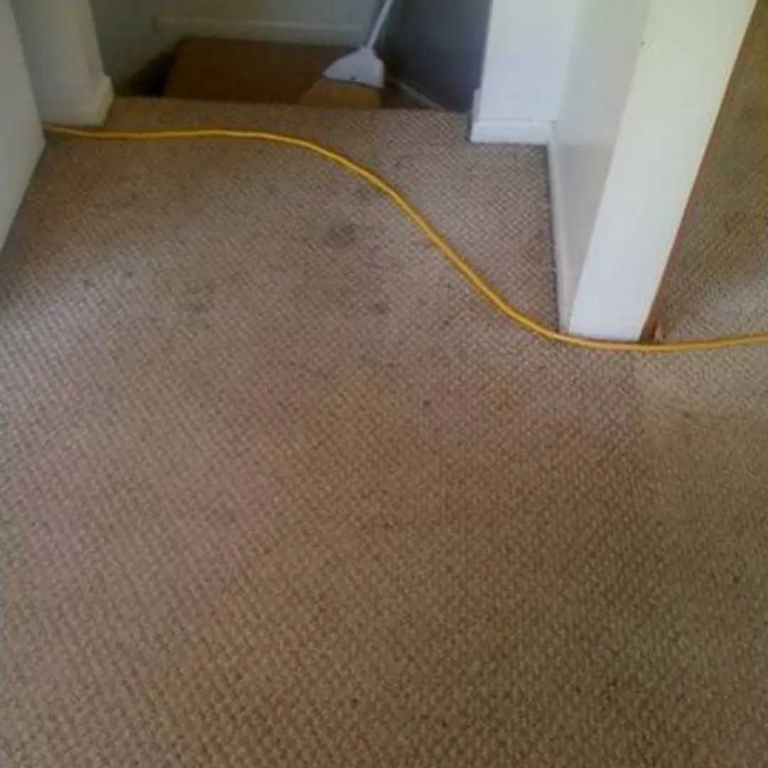 Carpet Cleaning Before (3) Carpet Cleaning Before (3)